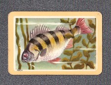 Vintage Swap Playing Card