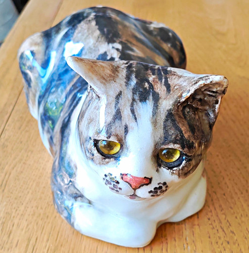 Winstanley cat size - winstanley,