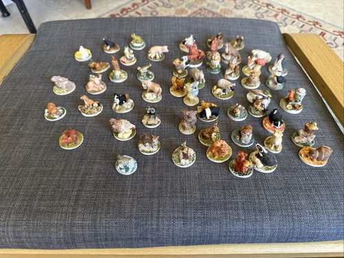 Large collection peter - large,