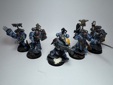 5 Space Wolves Marines Painted
