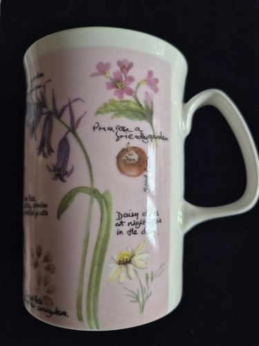 Rose england wildflower - of,