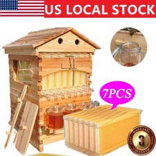 7Pcs Auto Seeping Honey Hive