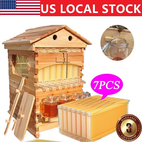 7pcs auto seeping honey - 7pcs,