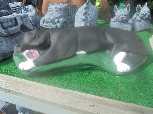 Sleeping cat concrete - sleeping,
