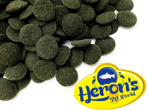Herons oak algae - &,