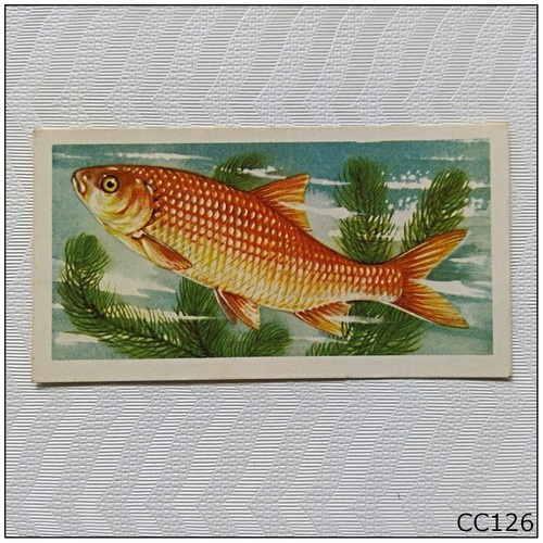 Brooke bond freshwater - bond, fish
