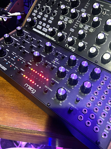 Moog labyrinth analogue - moog,