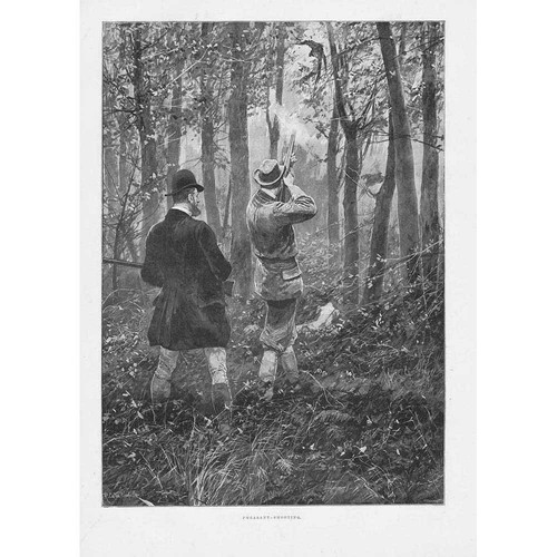 Pheasant shooting antique - shooting,