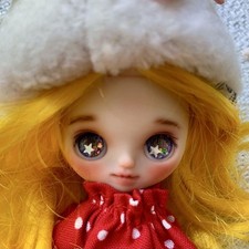 Custom Petite Blythe Icy Doll