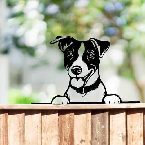 Peeking jack russell - jack,