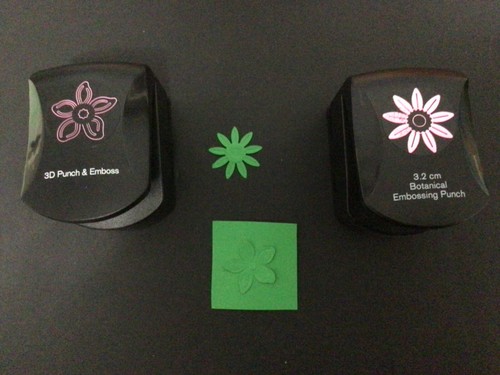 Cut medium daisy 3d - x, x2