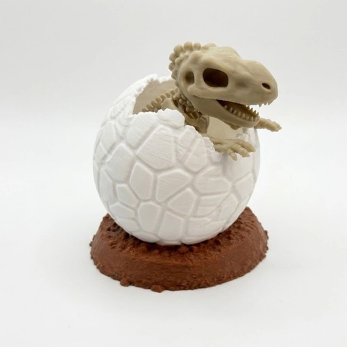 Baby rex skeleton egg - baby,