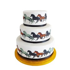 A4 Edible Decor Icing Sheet