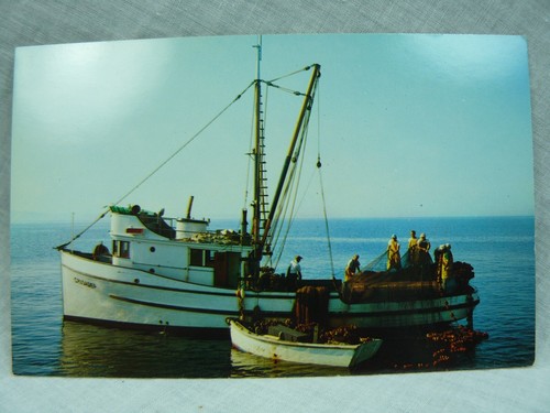 Puget sound washington salmon - puget,