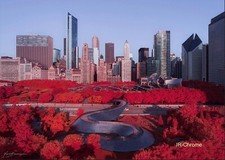 Infrared Filter Aerochrome  /
