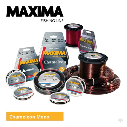 Maxima chameleon mainline - chameleon,