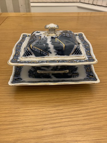 Blue and white pountney - blue,