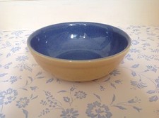 NEW⭐️⭐️DENBY JUICE⭐️⭐️Gorgeous PASTA SERVING BOWL⭐️⭐️