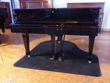 Grand Piano Carpet