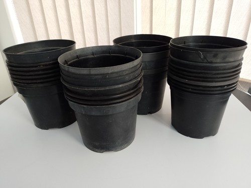 Black plastic garden plant - 30,