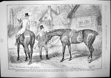 Old Antique Print Ellimans