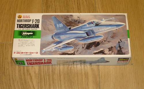 Hasegawa scale northrop - scale,