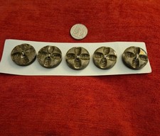 🪴 BUTTONS Card 5 large size