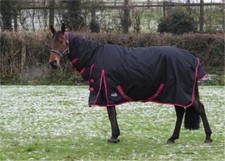 Waterproof Winter 600D