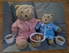 Horace the Alresford Bear & Nye Fridge Magnet (Pyjamas)