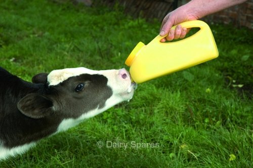 Milkbar calf feeding bottle - milkbar, &