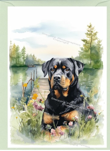 Rottweiler dog greetings card - greetings,