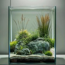 3 Gallon Glass Fish Tank, Easy
