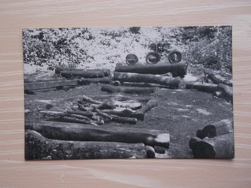 Scotland wood badge training - wood,