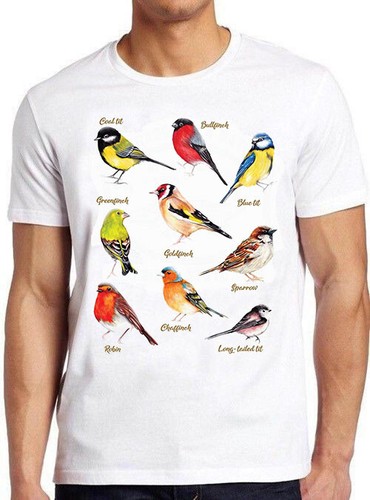 British garden birds meme - birds,