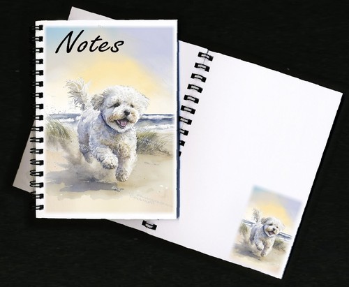 Bichon frise dog - frise,