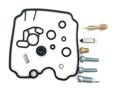 Carburetor repair kit - repair, for