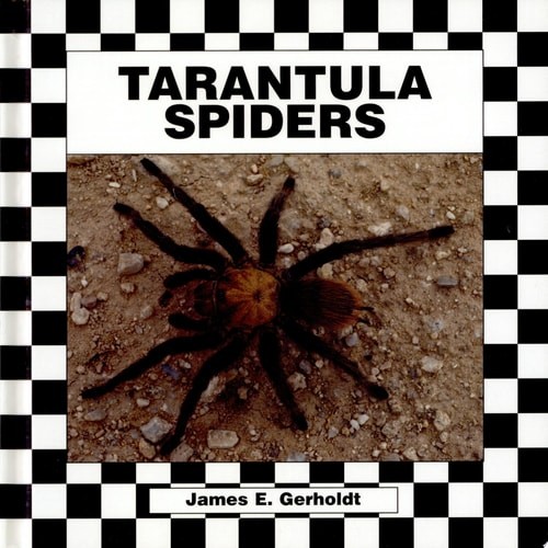 Tarantula spiders - tarantula,