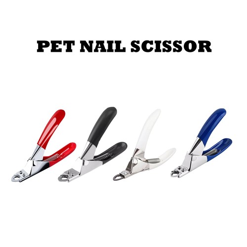 Dog cat nail toe - cat,