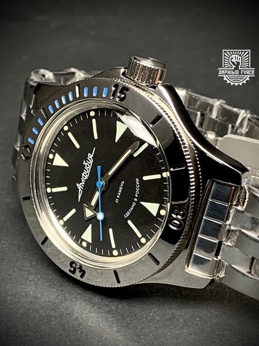 Vostok amphibia 120512 - vostok,