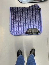 Lemieux Loire Satin Dressage