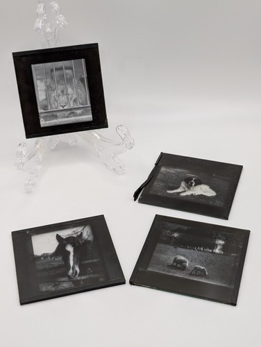 Antique magic lantern slide - antique,