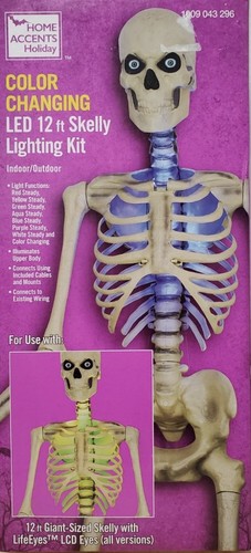 Skeleton skelly led home - skelly,