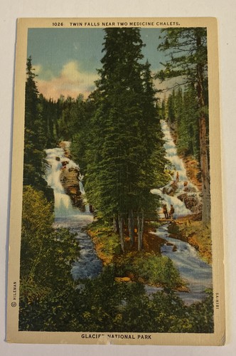 Vintage postcard twin falls - vintage,