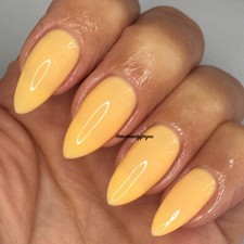 Bluesky Gel Nail Polish Choose
