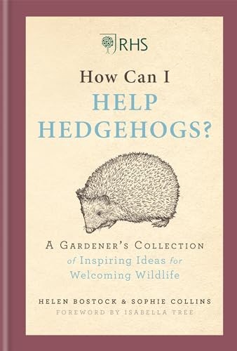 Rhs how can - can, help