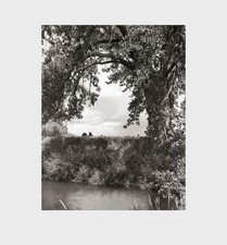 Robert Adams: Cottonwoods -