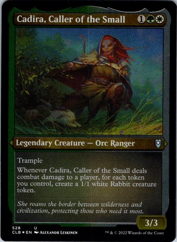 Cadira caller the small - cadira,,