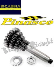 5870 - Pinasco Z 10 14 18 20 Gran Sport Vespa 50 Special R L N PK S XL