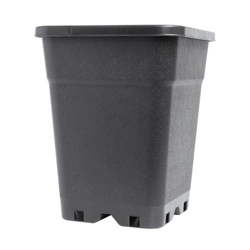 14l square plant - , multi