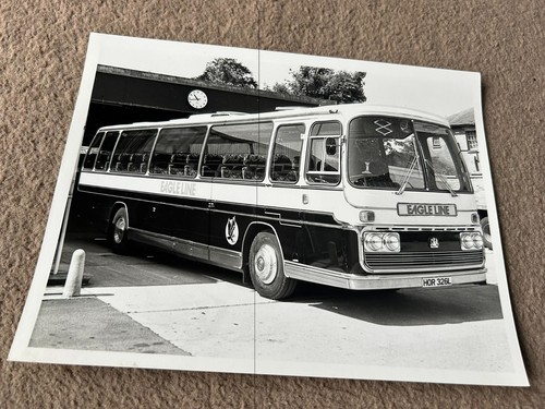 Bus photo eagle line - bus,